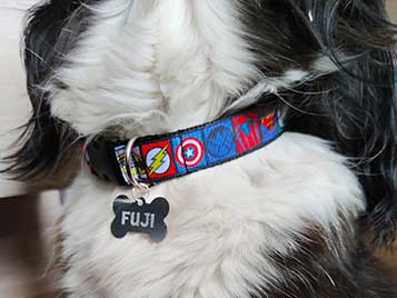 Médaille pour votre chien ou votre chat