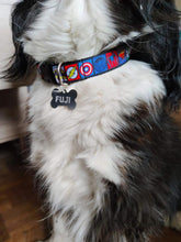 Collier chien Avengers