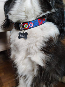 Collier chien Avengers