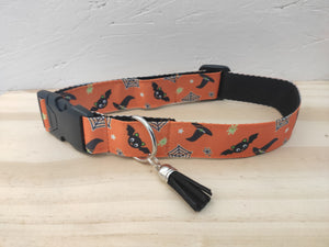 Collier chien Halloween (Plusieurs coloris)