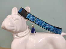 Collier chien bleuets des monts d&#39;Arrée