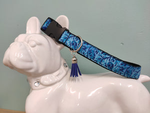 Collier chien bleuets des monts d'Arrée