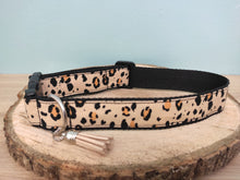 Collier chien Savane