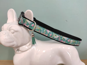 Collier chien Marin (plusieurs coloris)