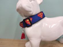 Collier chien Superman