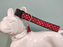 Collier chien Pois (plusieurs modèles)