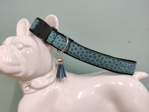 Collier chien Pois (plusieurs modèles)