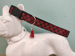 Collier chien Scottish