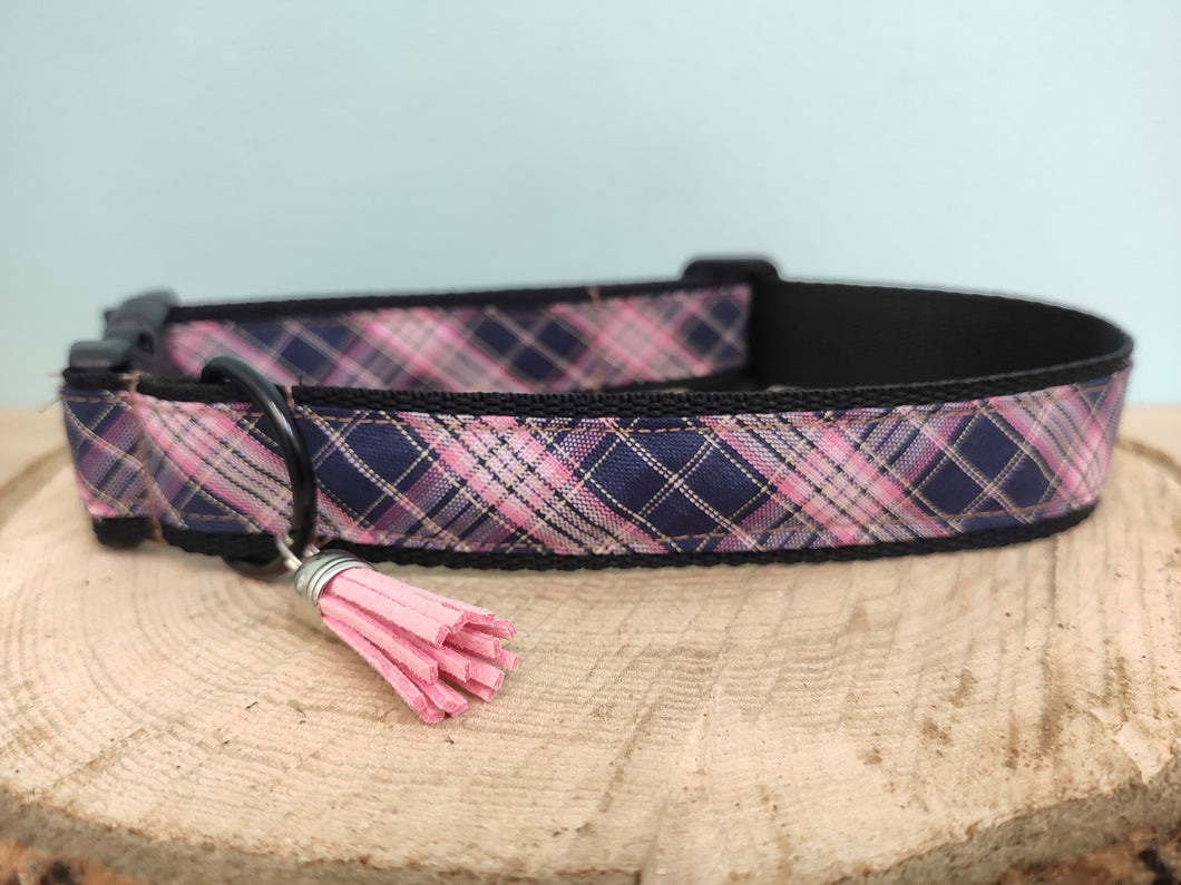 Collier chien Scottish