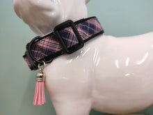 Collier chien Scottish