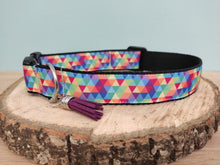 Collier chien multicolore