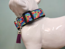 Collier chien multicolore