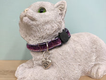 Collier chat Dégradé Mauve paillettes