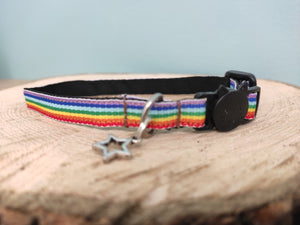 Collier chat arc-en-ciel