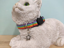 Collier chat arc-en-ciel