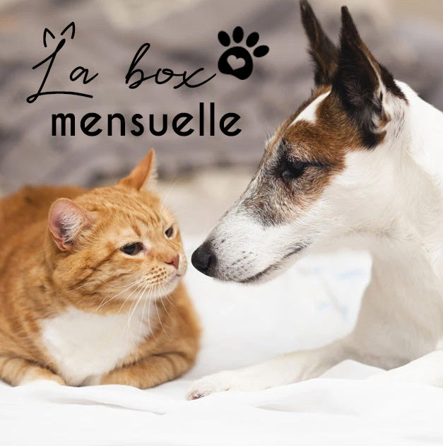 Abonnement mensuel chat ou chien sans engagement